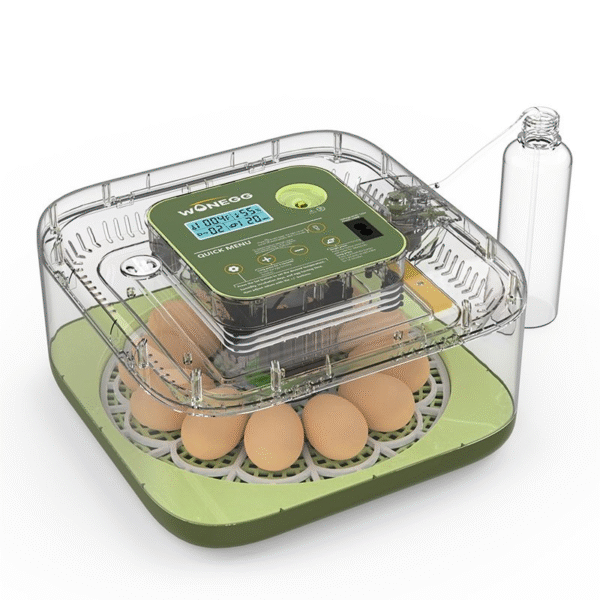 Incubateur Automatique 12 oeufs Pro