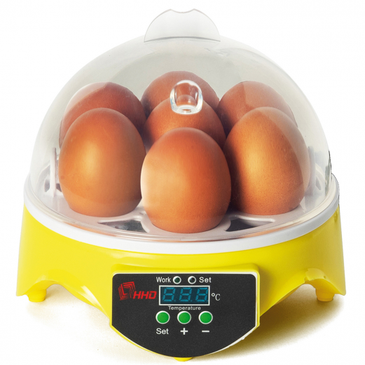 Couveuse Automatique 7 Oeufs